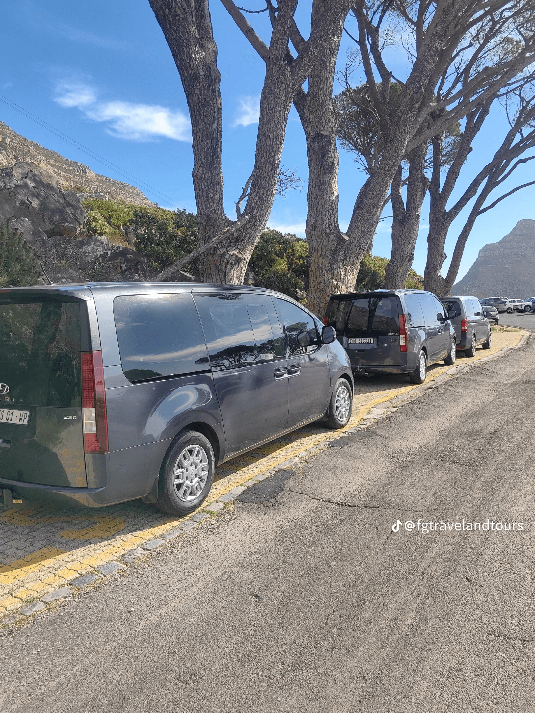 Vehicle Rentals